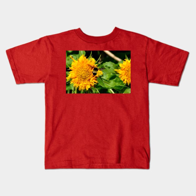 Bee in Flight Kids T-Shirt by michaelasamples